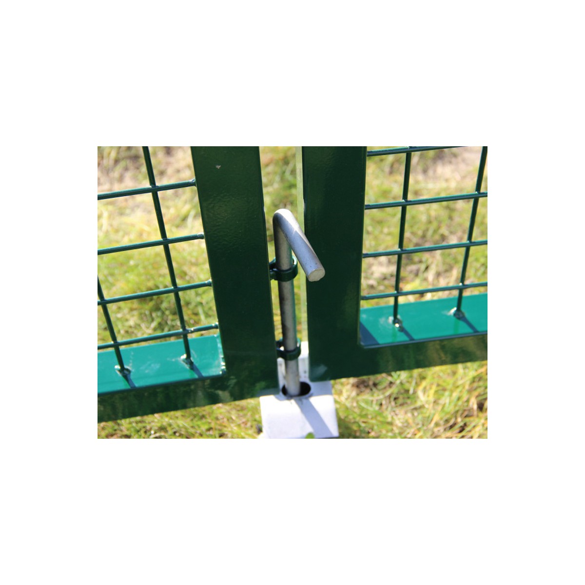 Kapu BD ECO 2000x3600 / ZN+PVC7016