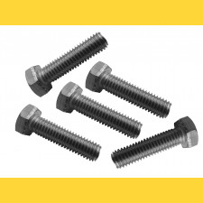 Screw STAINLESS STEEL / M8x40 - for ground screw / packing 10 pcs