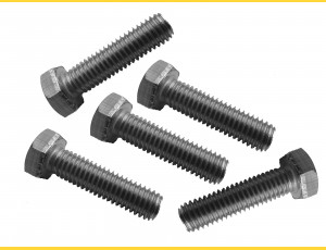 Screw STAINLESS STEEL / M8x40 - for ground screw / packing 10 pcs