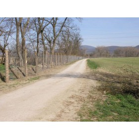 Siatka oczko kwadratowe 100/4,00 ZN OBOR