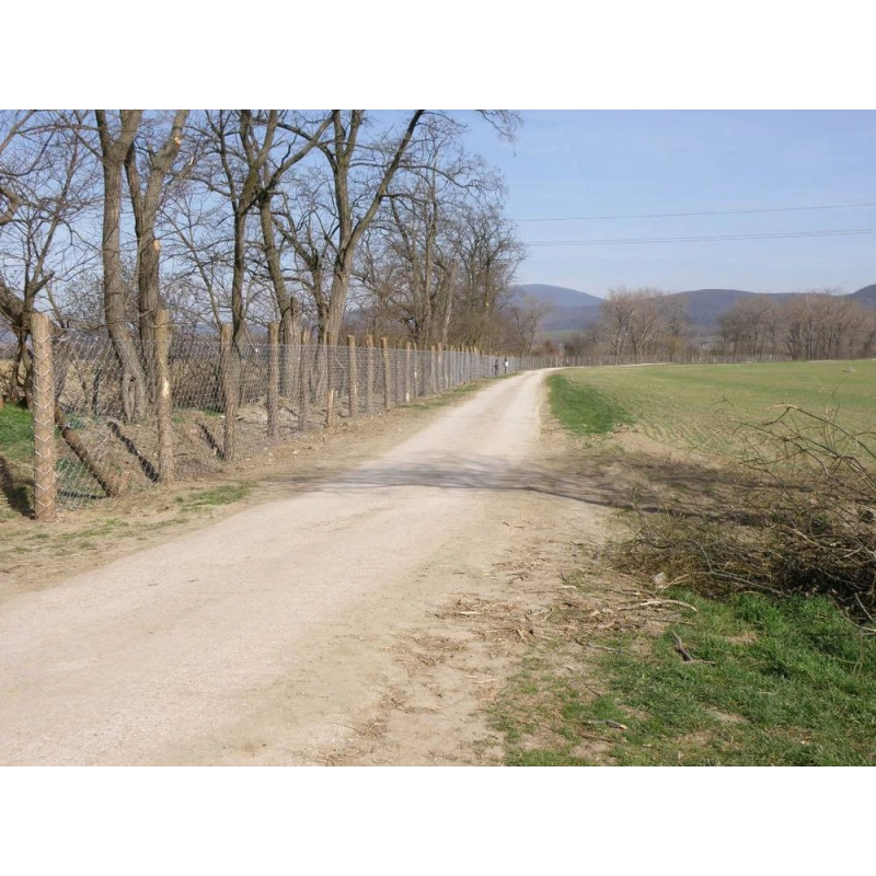 Siatka oczko kwadratowe 100/5,00 ZN OBOR