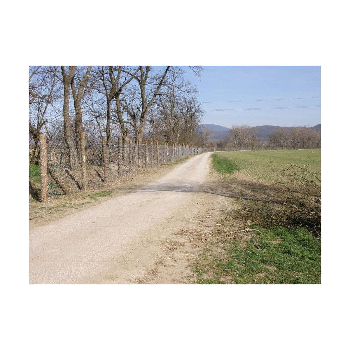 Drótfonat 125/5,00 ZN OBOR