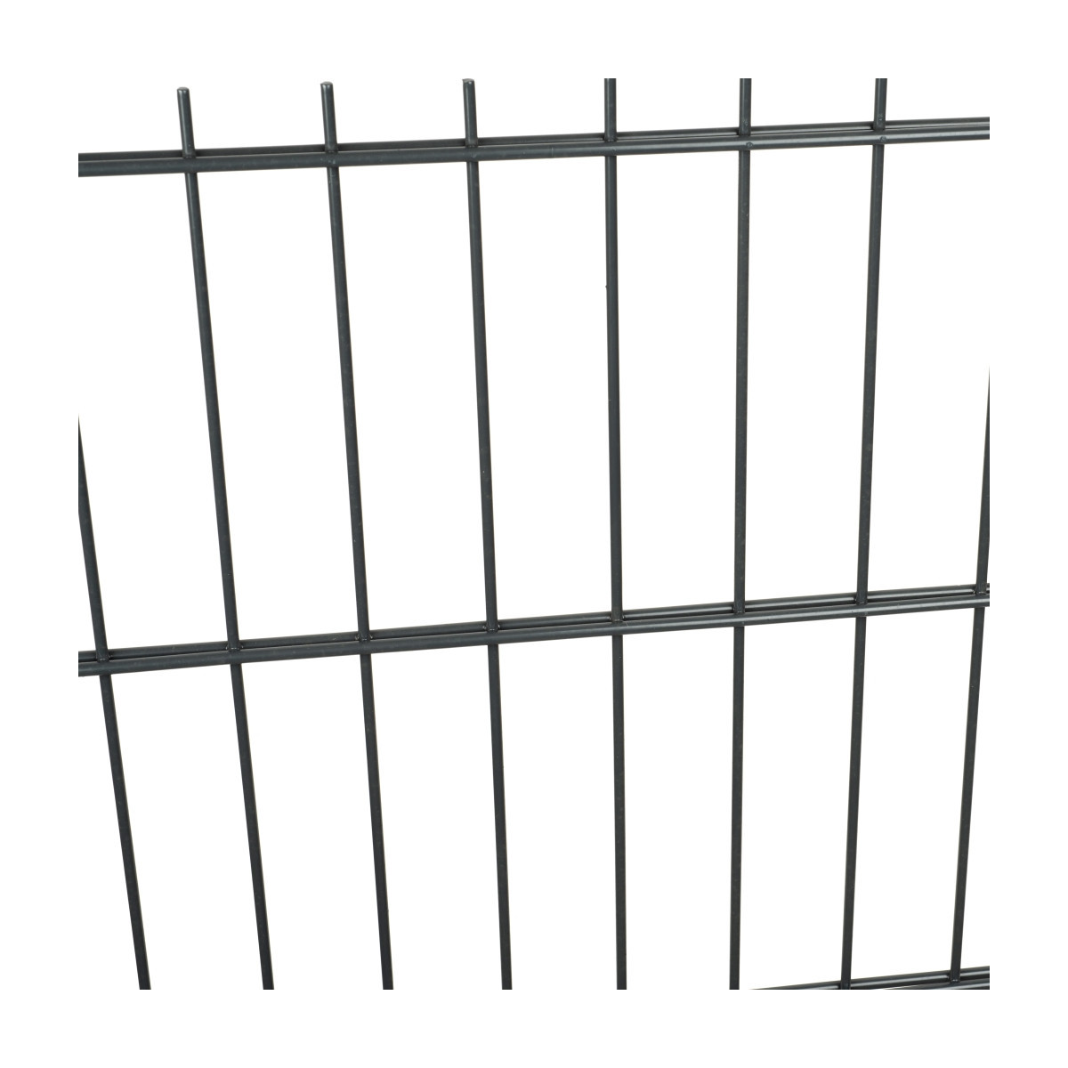 Fence panel DOUBLE 6/5/6 / 1630x2500 / ZN+PVC7016