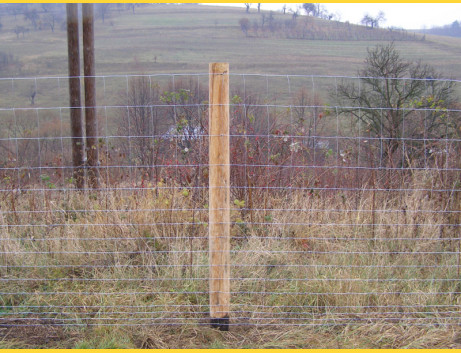 Knotted fence 100/15/08dr. / 1,80x2,20