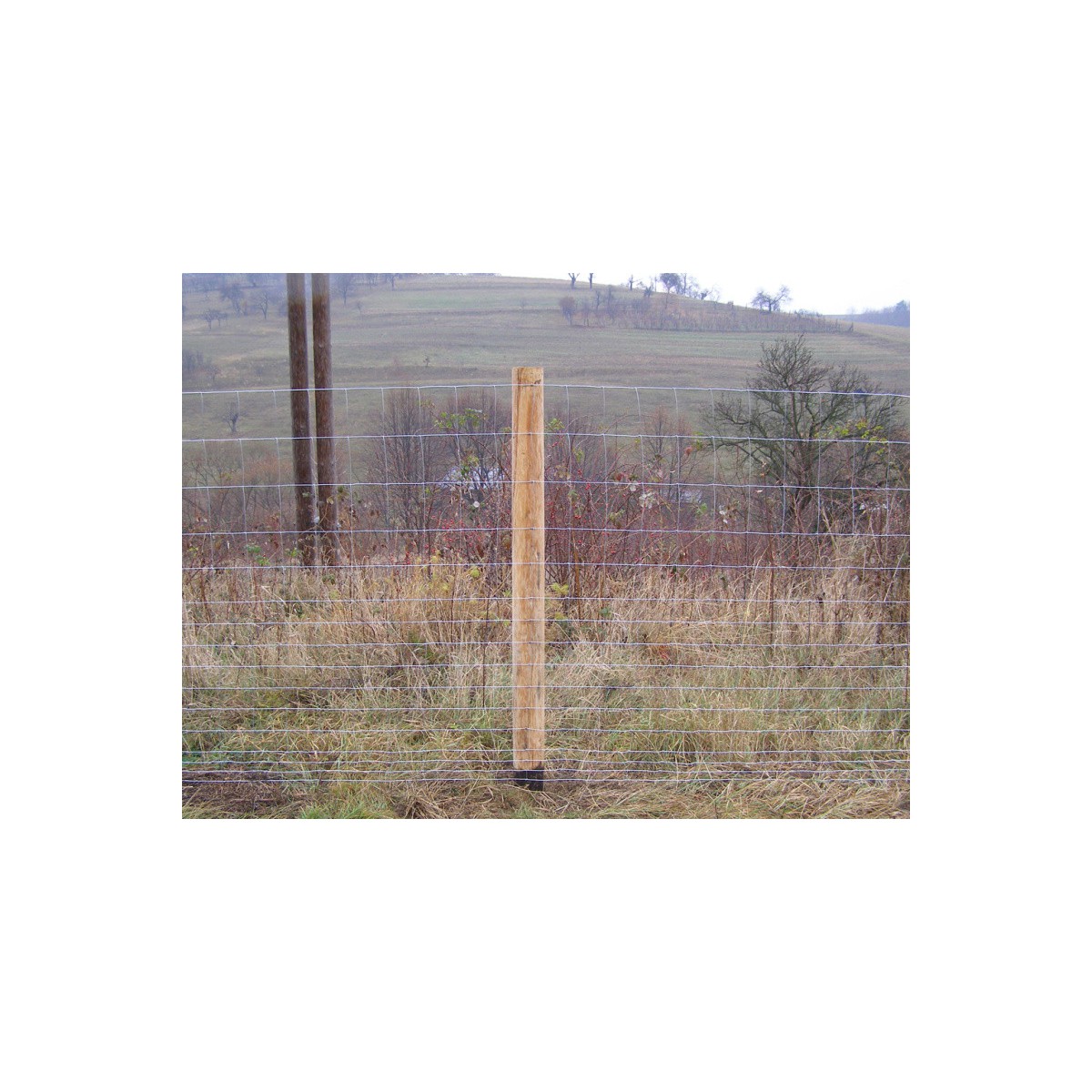 Uzl. pl. 140/15/14dr. / 2,00x2,80