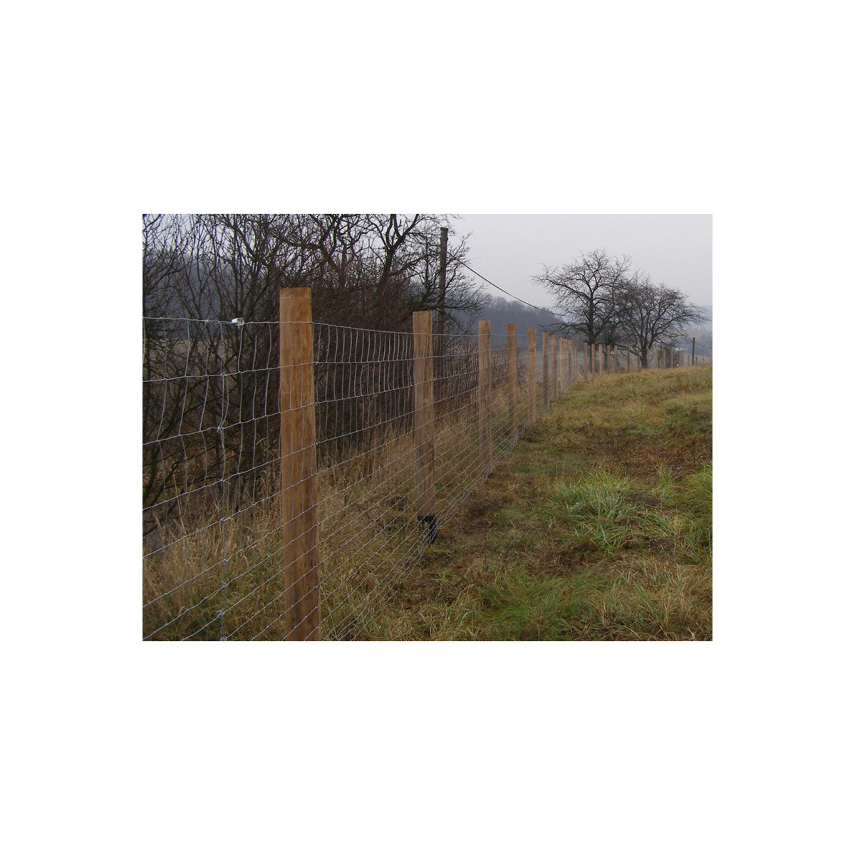 Uzl. pl. 175/15/16dr. / 2,00x2,80