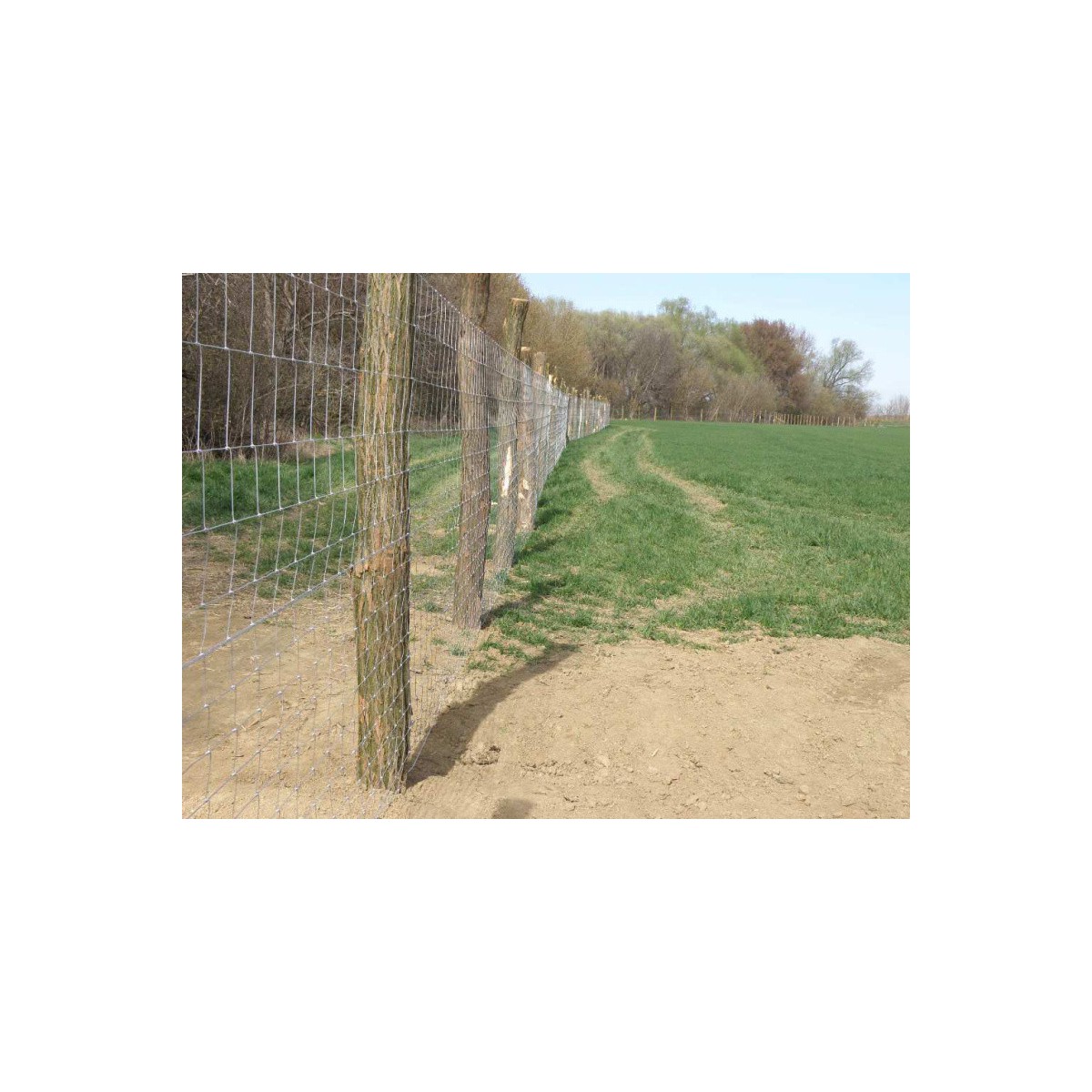 Uzl. pl. 220/15/20dr. / 2,20x3,10