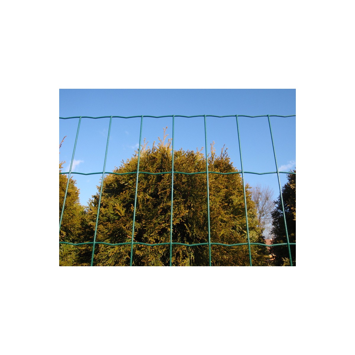 E-PLAST 80cm / 25m / green