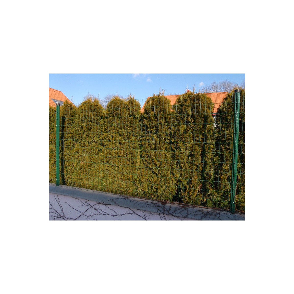 E-PLAST 80cm / 25m / green