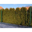 E-PLAST 120cm / 25m / green