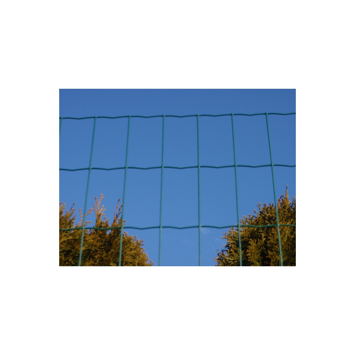 E-PLAST 150cm / 15m / green