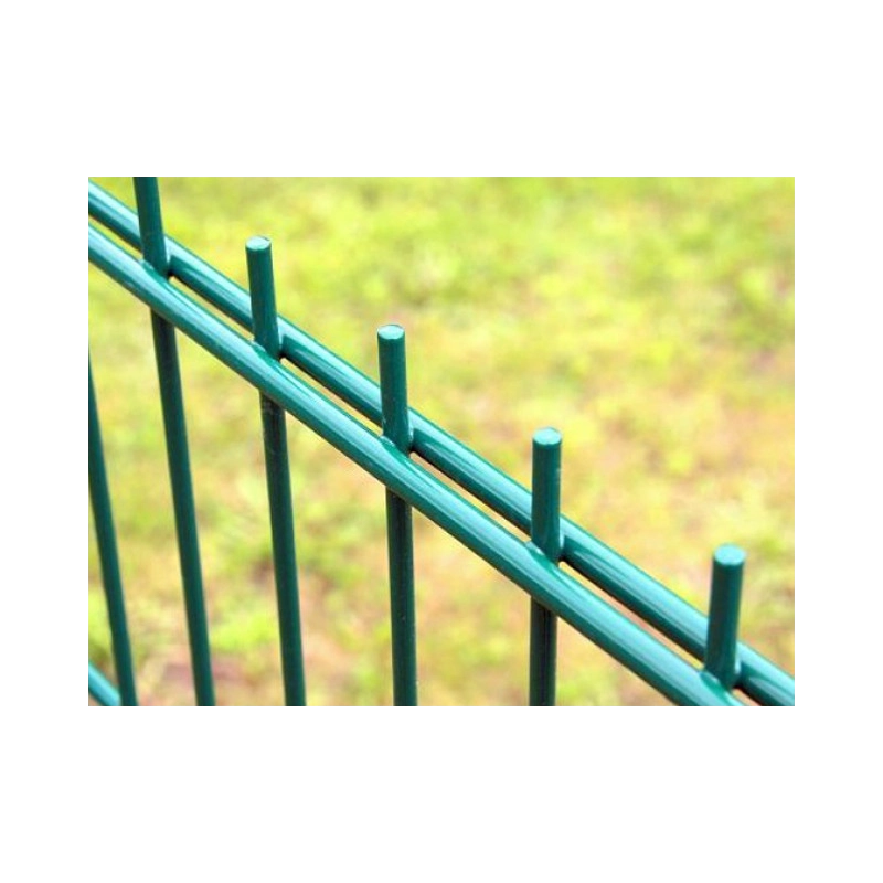 Fence panel DOUBLE 6/5/6 / 1430x2500 / ZN+PVC6005