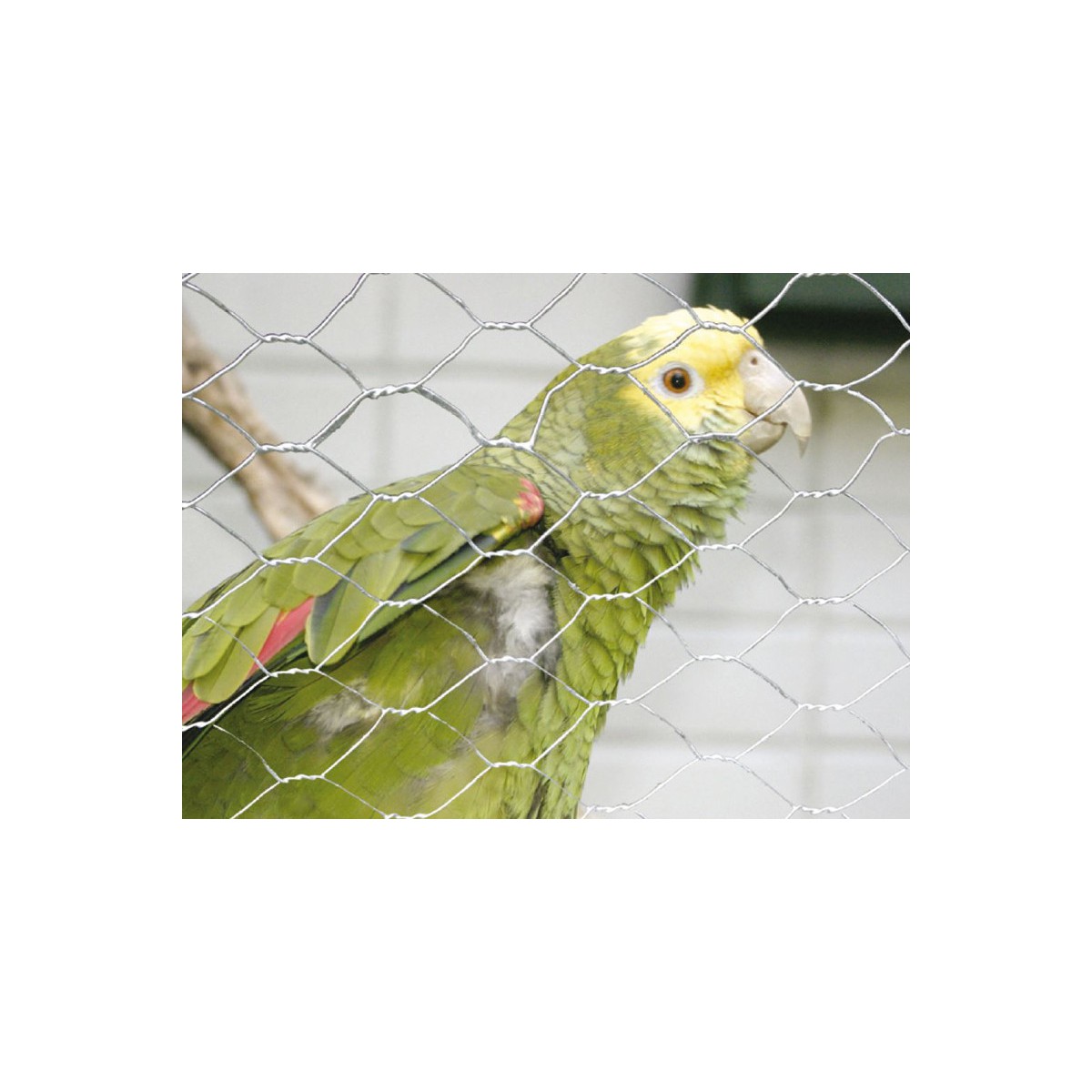 Csibeháló HNZ 25 x 0,80 x 100cm/50m