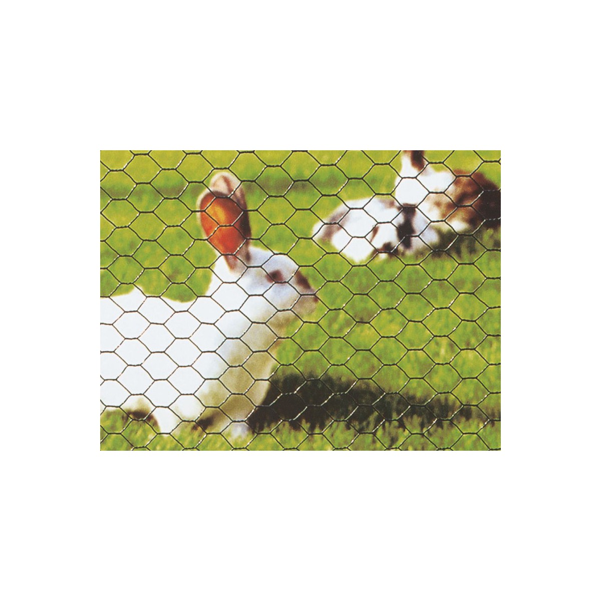 Siatka sześciokątna PCV 13 x 0,90 x 100cm/25m