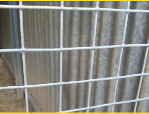 Welded mesh 6,0x6,0 / 0,65 / 1000 mm / 25m / ZN