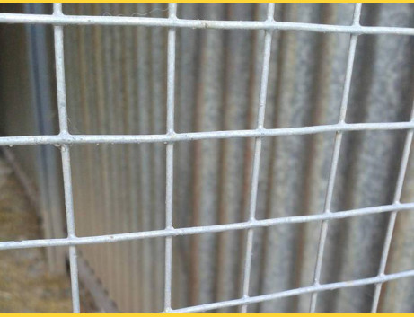 Welded mesh 6,0x6,0 / 0,65 / 1000 mm / 25m / ZN