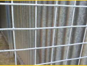 Welded mesh 16,0x16,0 / 1,20 / 1000 mm / 25m / ZN