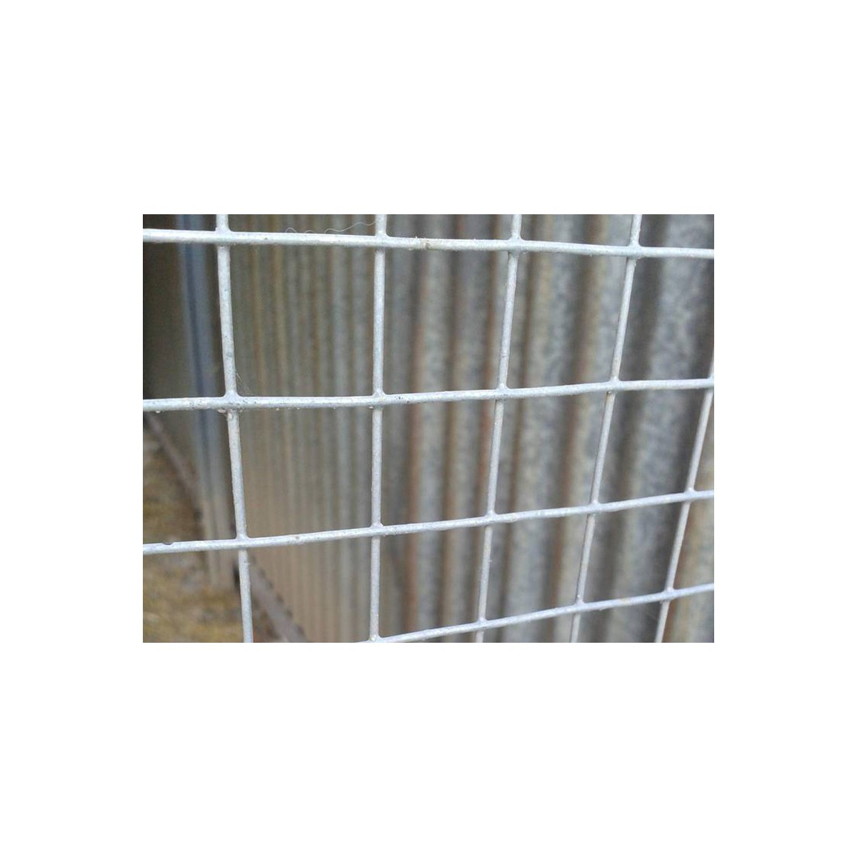 Welded mesh 50,0x50,0 / 2,00 / 1000 mm / 25m / ZN