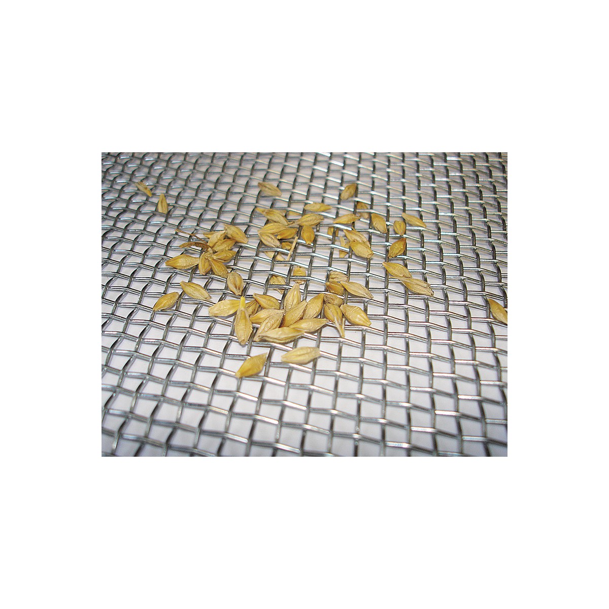 Metal netting ZN 3,10 / 0,80 / 1000mm / 10m / CN