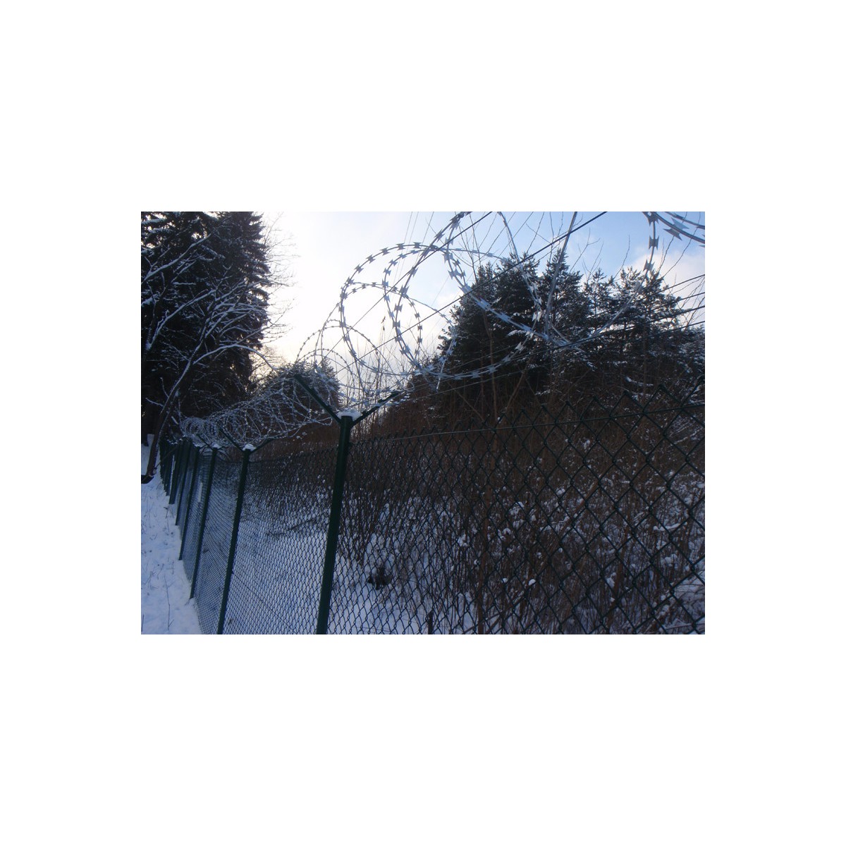 Barbed razor wire pack diameter 700 mm / 10 m