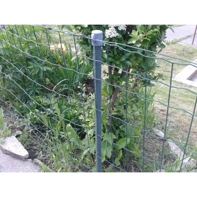 Stĺpik FLÓRA 20x1000mm / ZN+PVC6005