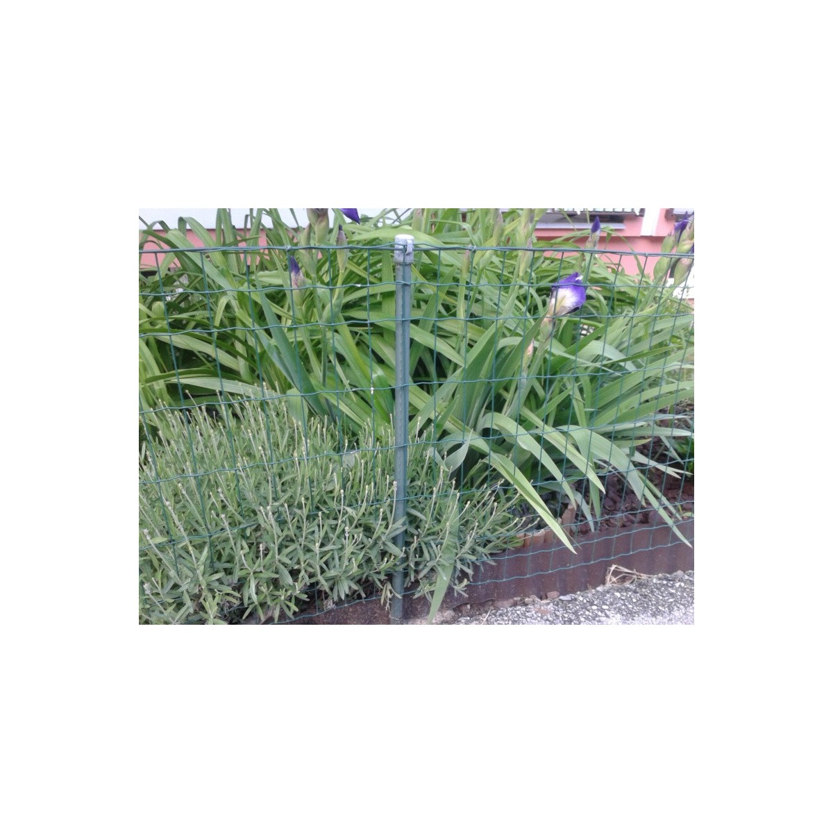 Stĺpik FLÓRA 20x1000mm / ZN+PVC6005