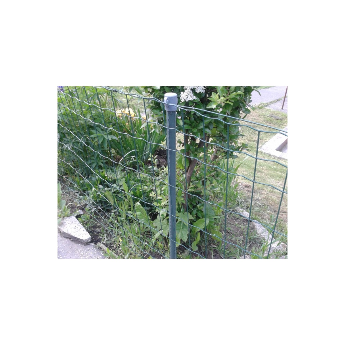 Stĺpik FLÓRA 20x1200mm / ZN+PVC6005