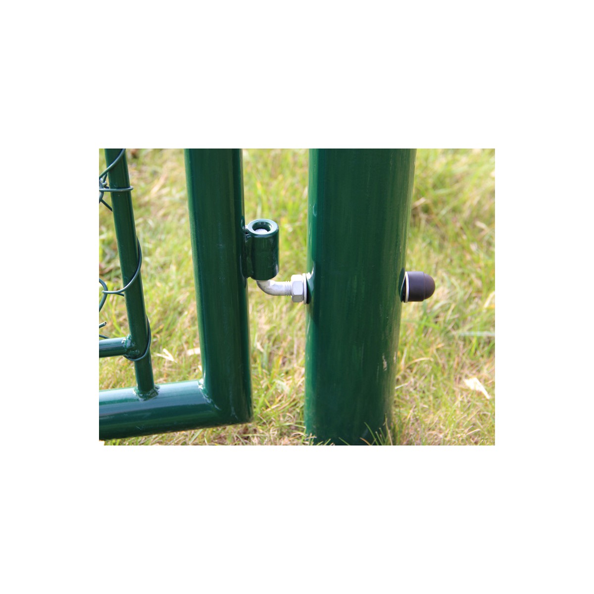 Kiskapu BJ GARDEN 2000x1000 / ZN+PVC6005