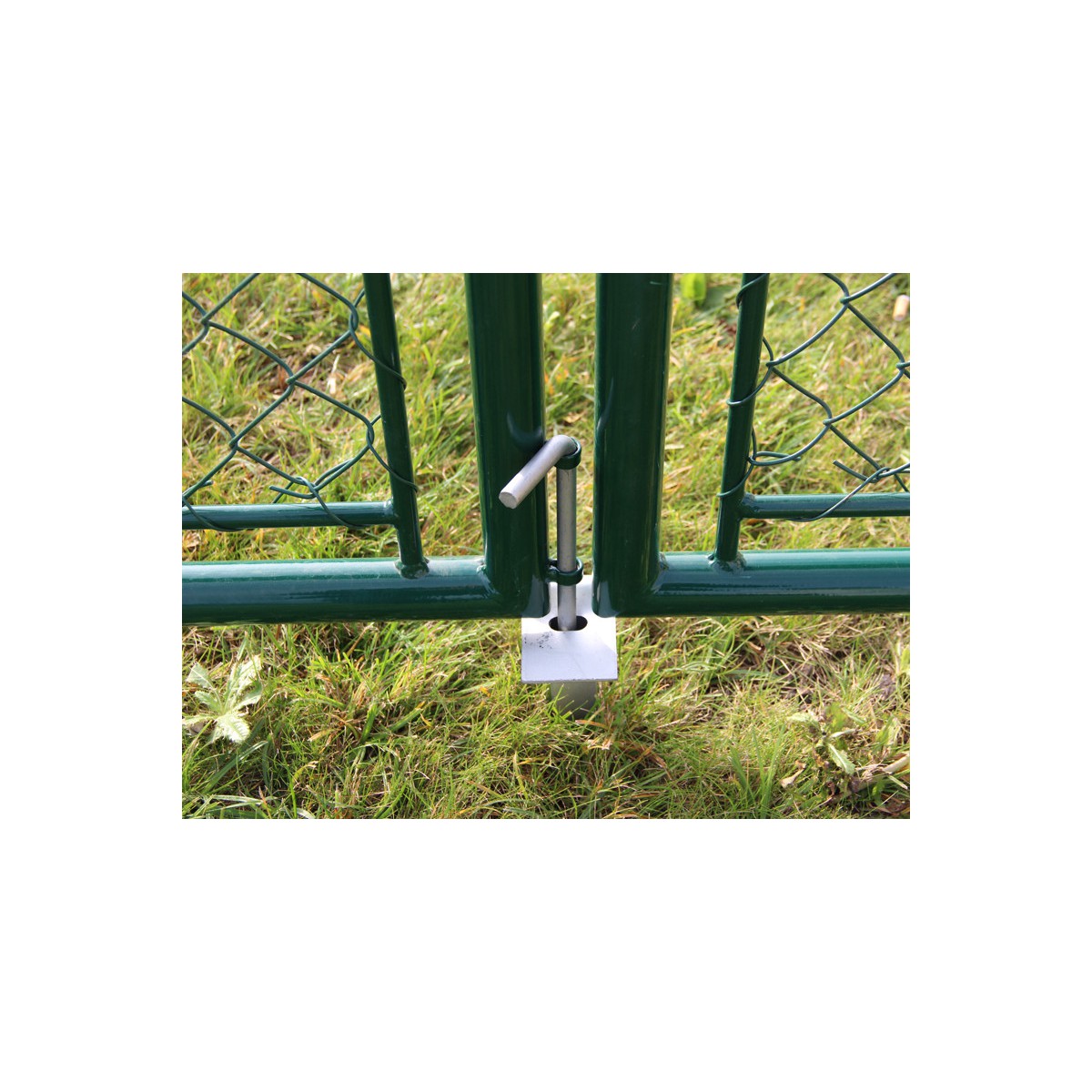 Kapu BD GARDEN 1500x3600 / ZN+PVC6005