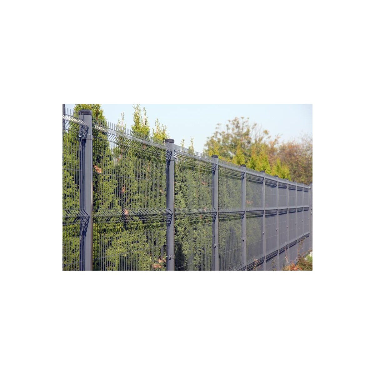 3D Gitterzaun PLUTO LIGHT 1030x2500 / ZN+PVC7016