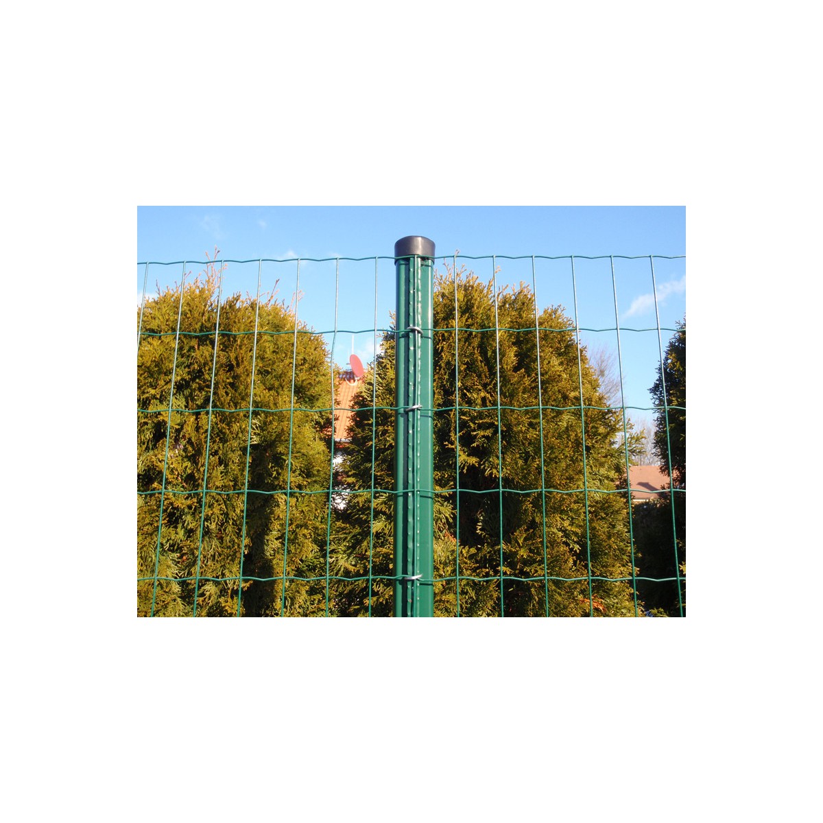 Post AQUIGRAF 48x1,50x2000 / ZN+PVC6005