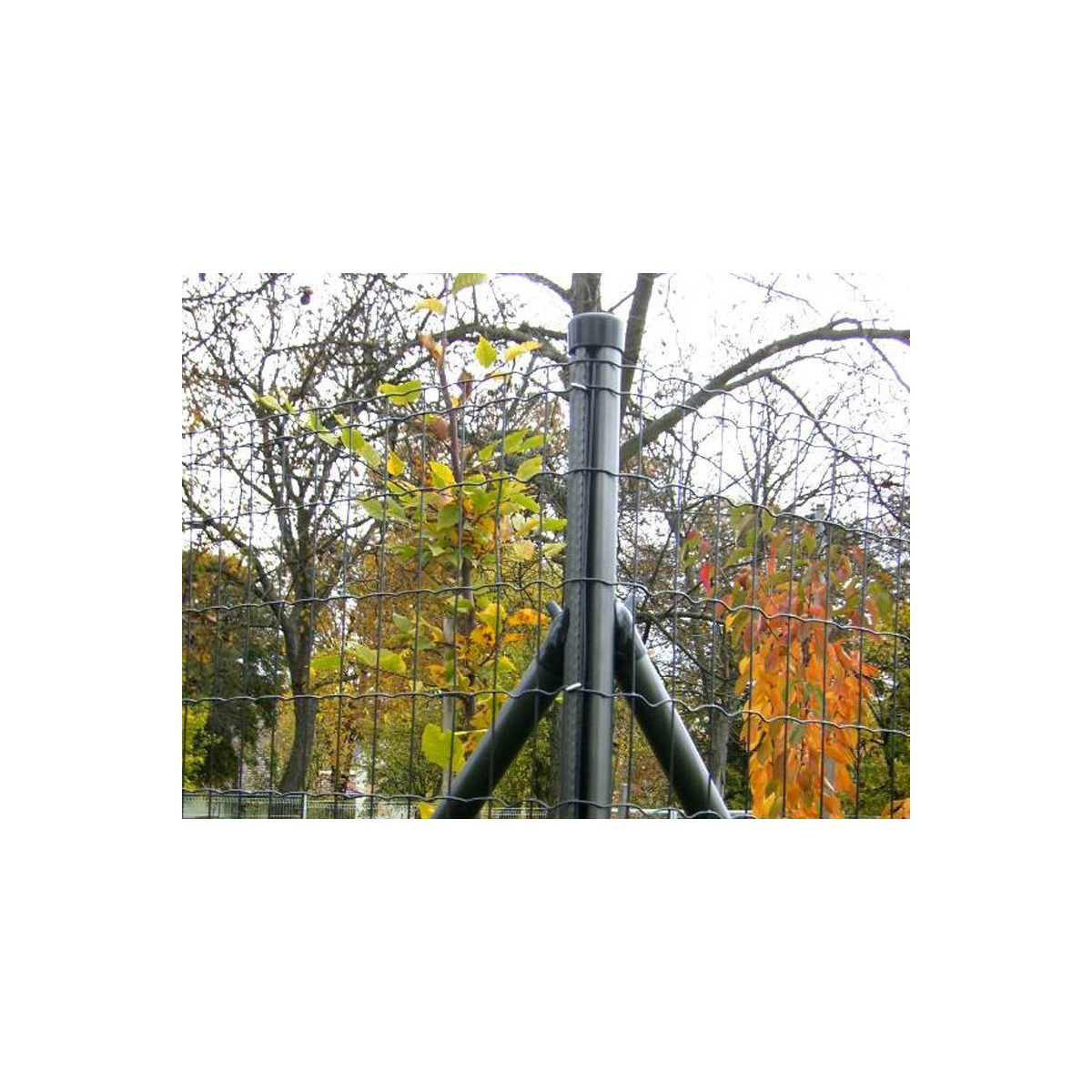 Stĺpik AQUIGRAF 50x1,25x2000 / ZN+AntracitR