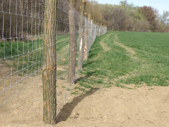 Siatka leśna (węzłowa) i siatki zaporowe dla zwierząt (ZOO)