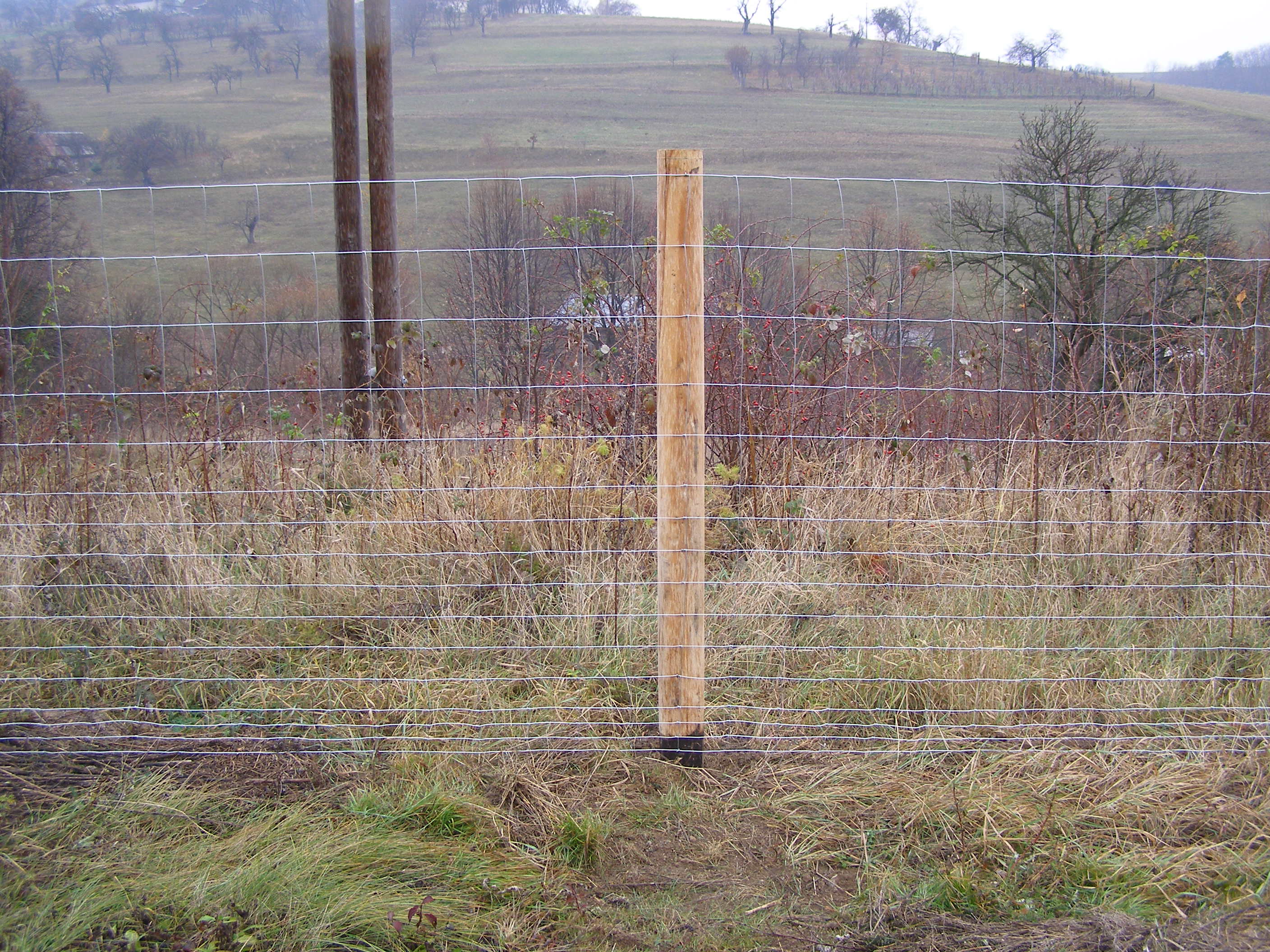 Knotted fence